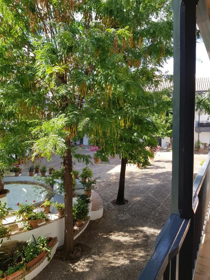Apartamento Patio Andaluz Siglo XVI Sevilla Exterior foto
