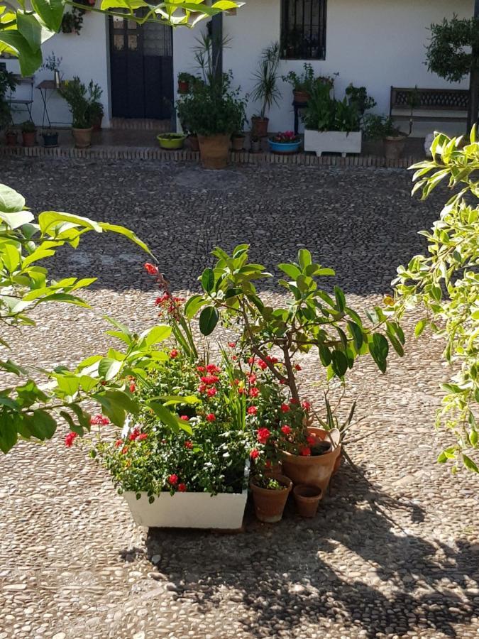Apartamento Patio Andaluz Siglo XVI Sevilla Exterior foto